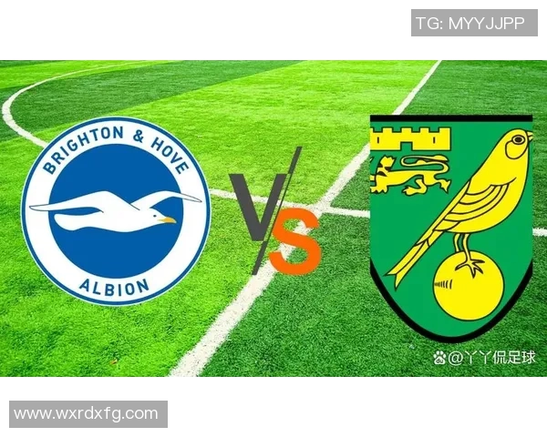 伯明翰与布莱顿对决前瞻分析球队状态及战术布置探讨 伯明翰与布莱顿对决前瞻分析球队状态及战术布置探讨