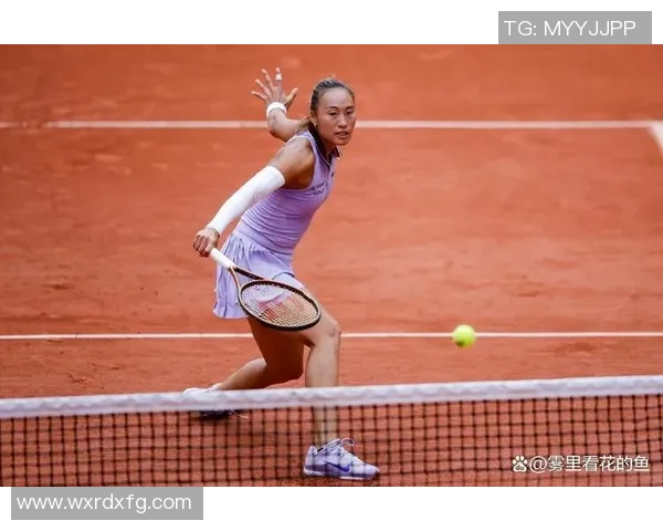 法网公开赛精彩回顾与未来展望见证网球盛事的辉煌历程与发展方向 法网公开赛精彩回顾与未来展望见证网球盛事的辉煌历程与发展方向