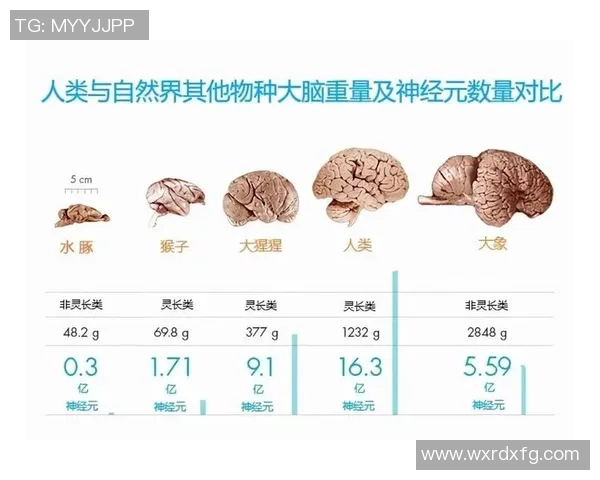 探索组选661的奥秘与魅力揭示其在数字游戏中的独特价值与影响力 探索组选661的奥秘与魅力揭示其在数字游戏中的独特价值与影响力